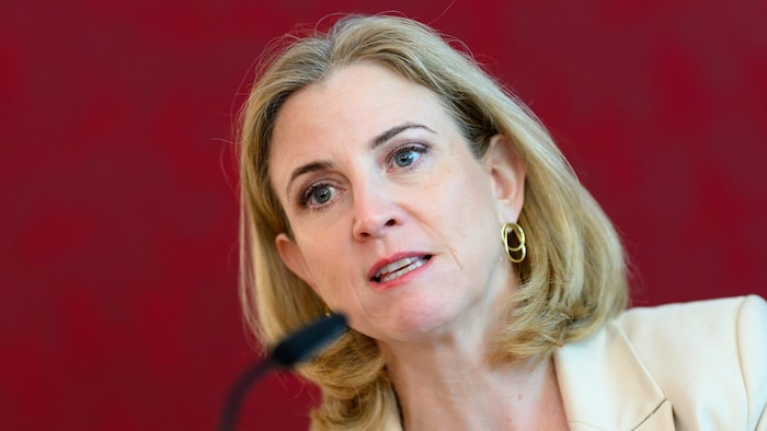 Außenministerin Beate Meinl-Reisinger (NEOS)
