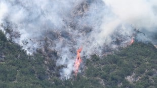 In Österreich haben in den vergangenen Wochen viele Wälder gebrannt (Im Bild: Waldbrand in ...