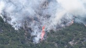 In Österreich haben in den vergangenen Wochen viele Wälder gebrannt (Im Bild: Waldbrand in ...
