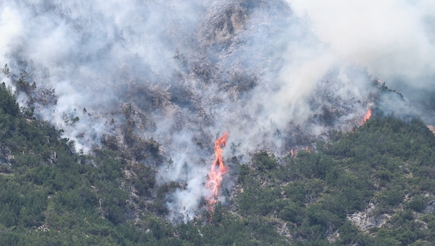 In Österreich haben in den vergangenen Wochen viele Wälder gebrannt (Im Bild: Waldbrand in ...