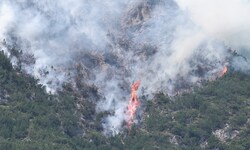 In Österreich haben in den vergangenen Wochen viele Wälder gebrannt (Im Bild: Waldbrand in ...