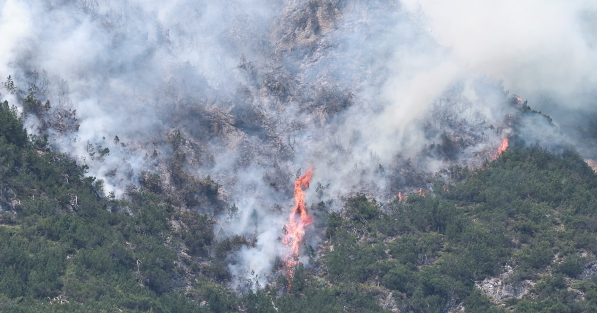 Wie schädlich ist Waldbrand-Rauch für Gesundheit?