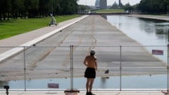 Die gravierendsten Schäden, die bislang im Teich zu sehen sind, könnten im Zuge der Bauarbeiten ...
