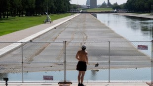 Die gravierendsten Schäden, die bislang im Teich zu sehen sind, könnten im Zuge der Bauarbeiten ...