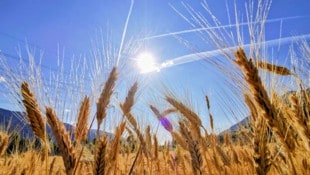 Nicht nur die Temperaturen sorgen für einen heißen Sommer, sondern auch die Herausforderungen in ...