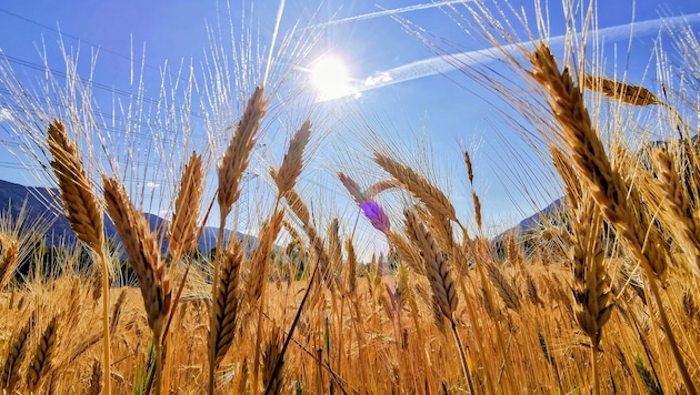 Nicht nur die Temperaturen sorgen für einen heißen Sommer, sondern auch die Herausforderungen in ...