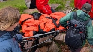 Weggeworfenes Cannabis wurde für die 25 Kilogramm schwere Hündin fast zur Todesfalle.