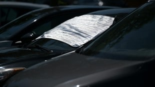 Hitzeschutz oder Sichtschutz? Jeder zweite Salzburger ist auch im Auto sexuell aktiv...