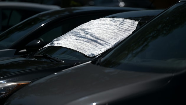Hitzeschutz oder Sichtschutz? Jeder zweite Salzburger ist auch im Auto sexuell aktiv...