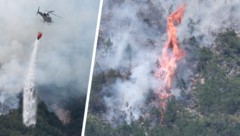 In Wildermieming wird der Waldbrand seit Dienstagmittag bekämpft.