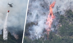 In Wildermieming wird der Waldbrand seit Dienstagmittag bekämpft.