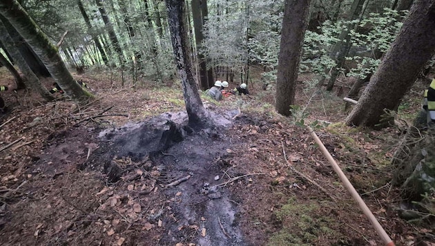 Auf der Rautalm kam es nach einem Blitzschlag zu einem beginnenden Waldbrand.