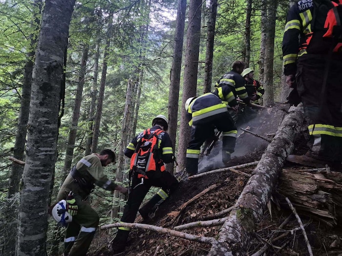 Rund 60 Florianis rückten in Kärnten aus.
