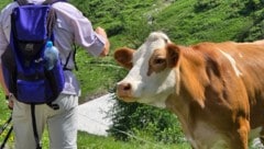 In Österreich ist die Tourismus-Sommersaison gut angelaufen, WKÖ-Spartenchef Imlauer steigt aber ...