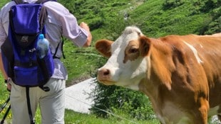 In Österreich ist die Tourismus-Sommersaison gut angelaufen, WKÖ-Spartenchef Imlauer steigt aber ...