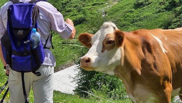 In Österreich ist die Tourismus-Sommersaison gut angelaufen, WKÖ-Spartenchef Imlauer steigt aber ...