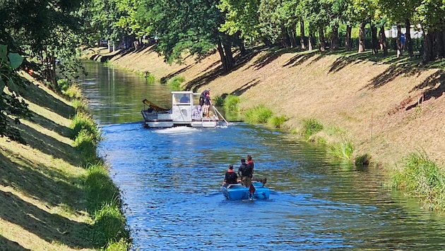 Derzeit wird der Lendkanal gerade von Mähbooten gesäubert.