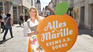 Großes Jubiläumsfest in der Kremser Altstadt   
