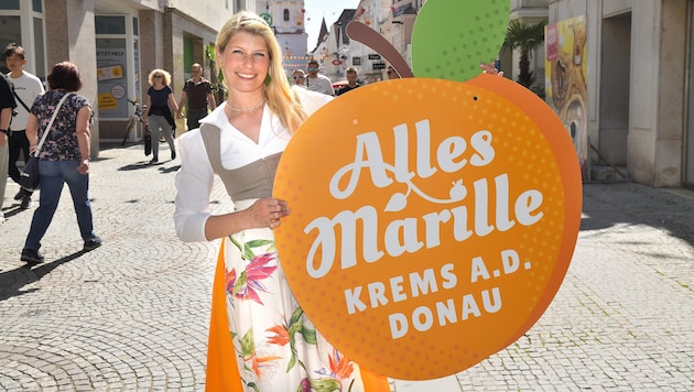Großes Jubiläumsfest in der Kremser Altstadt