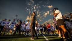 Die Vienna Vikings sind derzeit in Europa das Maß aller Dinge.