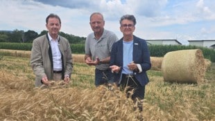 Nikolaus Berlakovich, Werner Falb-Meixner und Maria Portschy von der LK Burgenland schlagen ...