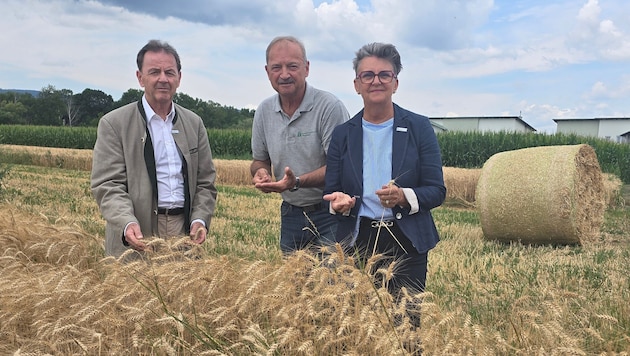 Nikolaus Berlakovich, Werner Falb-Meixner und Maria Portschy von der LK Burgenland schlagen ...