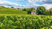 Frankreich ist bekannt für seine vorzüglichen Weine, unter anderem aus der Region Bordeaux im ...