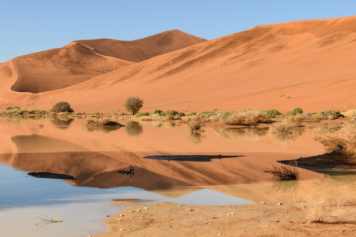 Die Sanddünen des Sossusvlei in der Namib-Wüste gehören zu den höchsten der Welt. Im Hintergrund ...