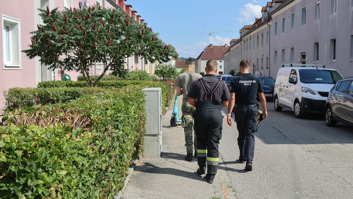 Kameraden der Feuerwehr Wels fingen das Tier wieder ein.