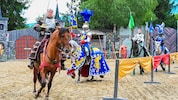 Die Ritterspiele sind im Sommer ein beliebtes Ausflugsziel in Oberkärnten.  