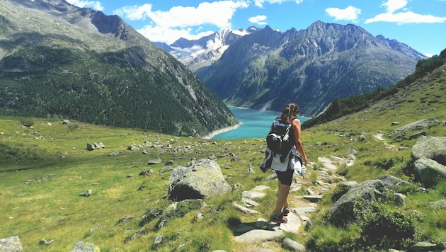 Ein wunderbarer See, herrliche Almböden und die traumhafte Hochgebirgswelt der Zillertaler ...