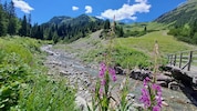 In den Sommermonaten präsentiert sich auch das Hochgebirge farbenfroh.