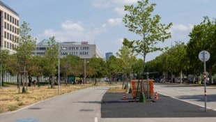 Mario Urbantschitsch Am Radweg Lassallestraße wurde die Wiese asphaltiert.