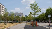 Am Radweg Lassallestraße wurde die Wiese asphaltiert.