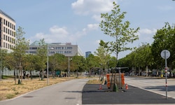 Am Radweg Lassallestraße wurde die Wiese asphaltiert.
