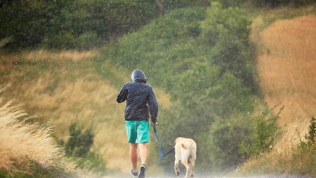 Österreich steht ein Wettertag mit Hitze und teils heftigen Unwettern bevor. (Symbolbild)