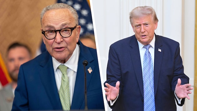Der Demokrat Chuck Schumer sieht in Trumps Rede einen „erbärmlichen Versuch, das zu leugnen, was ...