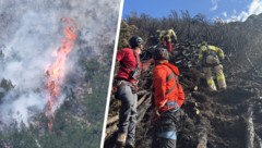 Tagelang kämpften Einsatzkräfte gegen den Waldbrand – jetzt hieß es endgültig „Brand aus“.