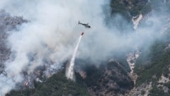 Mitte Juli brannte in unwegsamen Gelände von Wildermieming der Wald – nur einer von mehreren ...