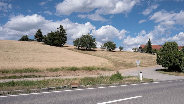 Die Pegelstände in Österreich sinken immer weiter.
