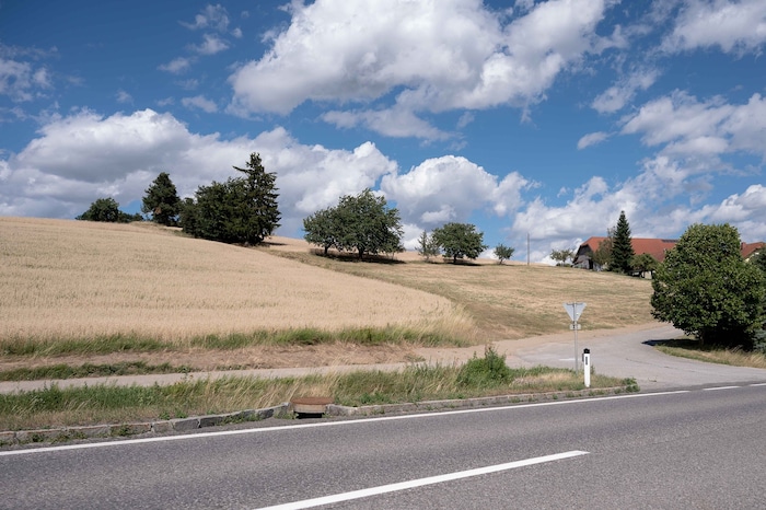 Die Pegelstände in Österreich sinken immer weiter.