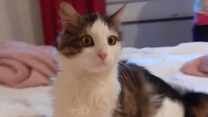 Einmal kuscheln bitte!