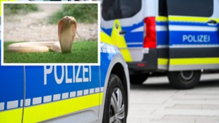 Dieser Einsatz wird den Beamten wohl ewig in Erinnerung bleiben.