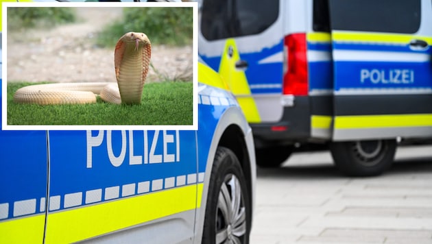 Dieser Einsatz wird den Beamten wohl ewig in Erinnerung bleiben.