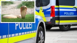 Dieser Einsatz wird den Beamten wohl ewig in Erinnerung bleiben.