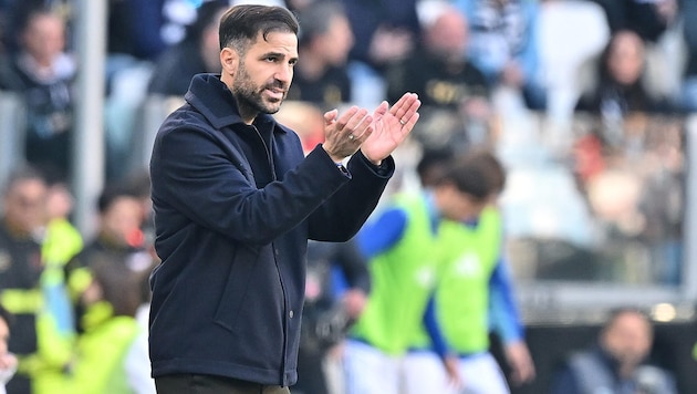 Mit Spanien wurde Cesc Fabregas zweimal Europa- und einmal Weltmeister.