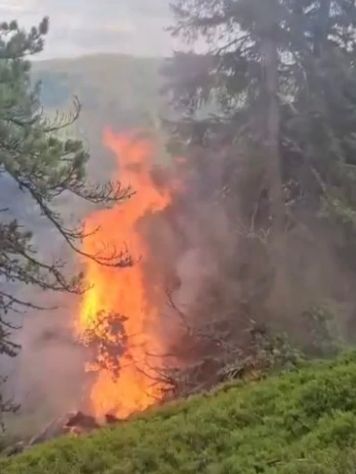 Flammen im steilen Gelände an der Grenze zu Kärnten