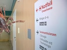 Vor allem in der Nacht stürmen die Wiener mit Zeckenbissen die Notfallambulanzen – und müssen ...