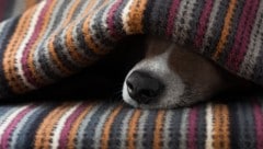 Die Nachttemperaturen sinken teils in den einstelligen Bereich.