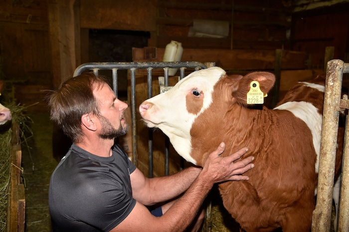 Johann ist im Stall beim Melken der Kühe zu finden. Früh am Morgen beginnt sein Tag.
